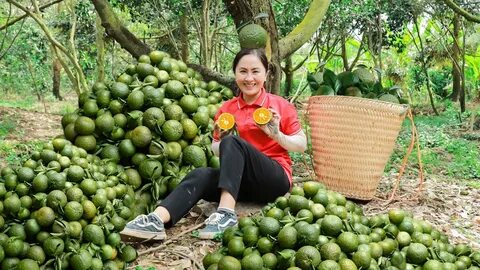 Sự Bùng Nổ Của Video Ngắn và Trí Tuệ Nhân Tạo: Vai Trò Thiết Yếu Của Đào Tạo Kỹ Năng Sáng Tạo Nội Dung_chỉnh sửa chỉnh sửa video trên điện thoại